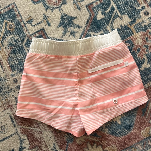 Minnow Swim Trucks Sorbert Stripped - Picture 5 of 6